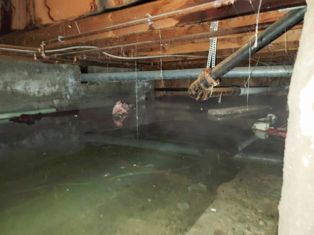  North Shore, VA Water damage restoration Pros